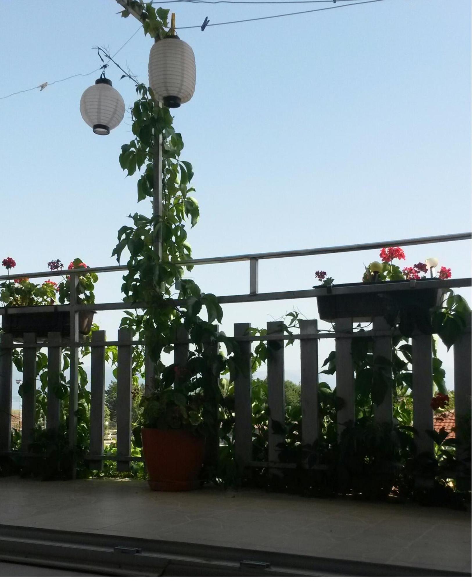 Marko Apartments Struga Oda fotoğraf