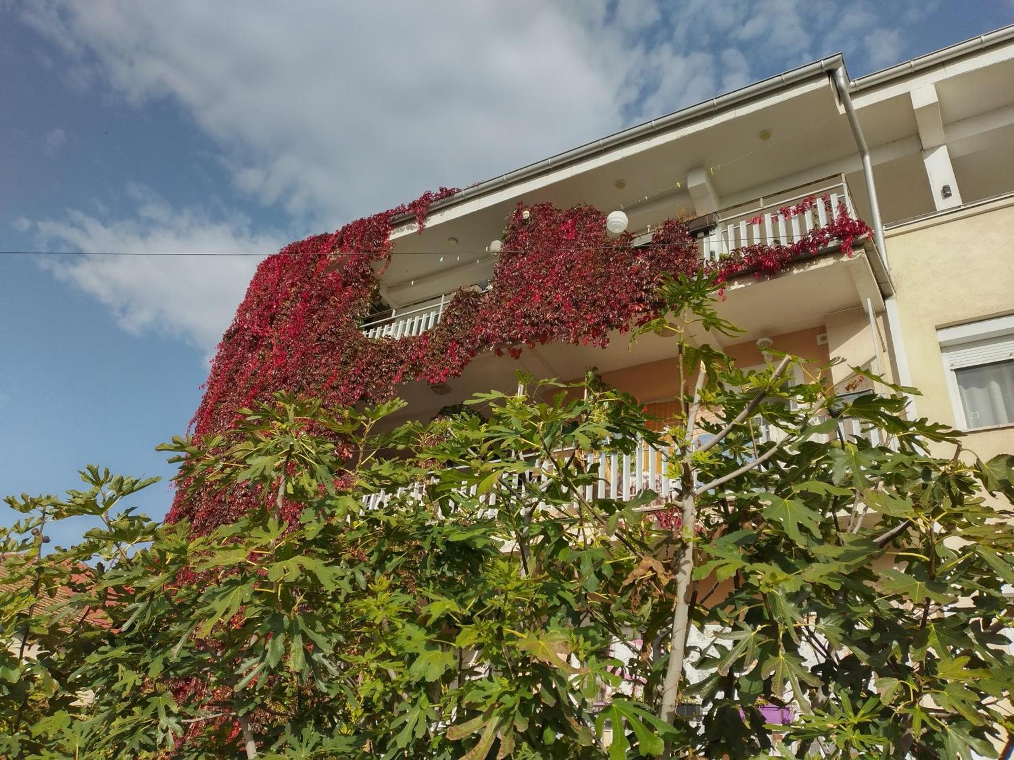 Marko Apartments Struga Dış mekan fotoğraf